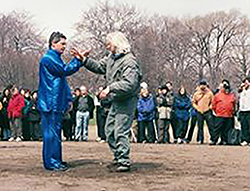 Push Hands Demo Push Hands Demo at Tai Chi Day in Central Park NYC